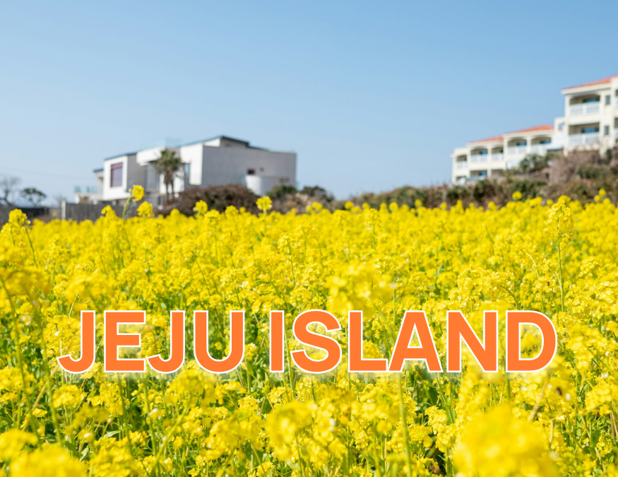 Жэжү арлын Шууд нислэгтэй + Хөтөлбөртэй аялал